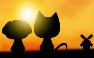 同学陪伴我作文5篇