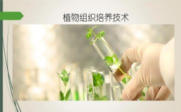 培养指导青年教师工作总结8篇