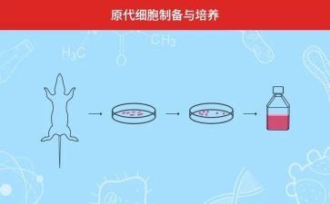 人才培养方案范文8篇