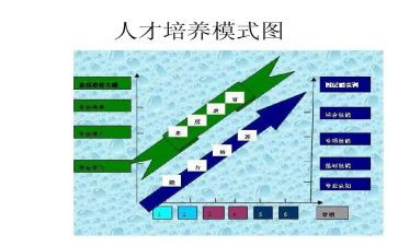 双培养活动总结5篇