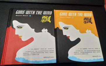 《飘》心得体会800字参考8篇