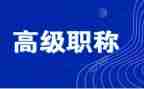 评高级工程师个人总结最新5篇