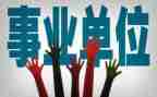 聘期满工作总结模板5篇