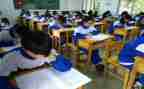 小学教师期末个人述职报告7篇