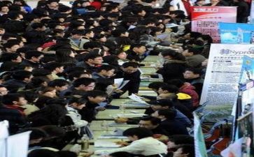 优秀求职简历模板6篇