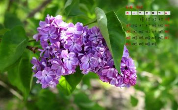 七月演讲稿8篇