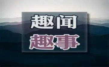 春节趣事初中作文600字7篇
