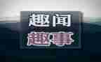 春节趣事初中作文600字7篇