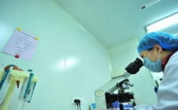 检验师试用期个人工作总结6篇