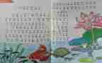 小班教师个人教学工作总结5篇
