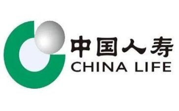 中国人寿工作总结8篇