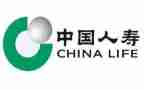 中国人寿工作总结8篇