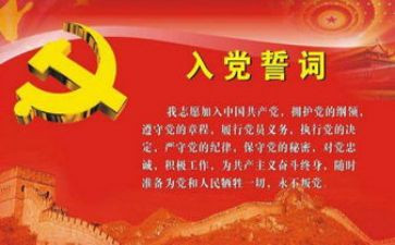 2023入党工作总结通用7篇