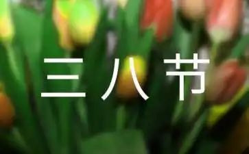 教师三八节演讲稿范文7篇