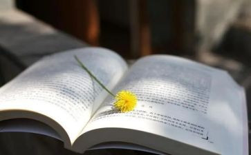 散文读后感800字推荐7篇