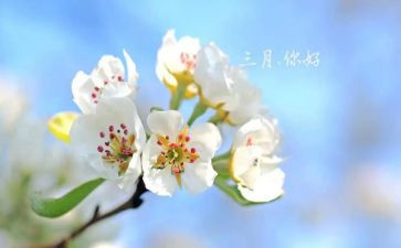 2023年三月心得体会5篇