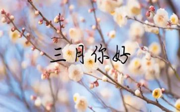 三月学雷锋演讲稿8篇