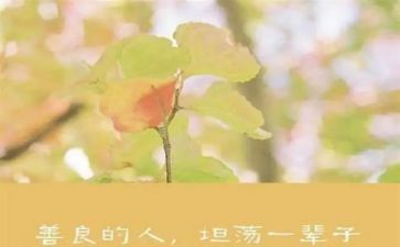 关于善的满分作文精选7篇