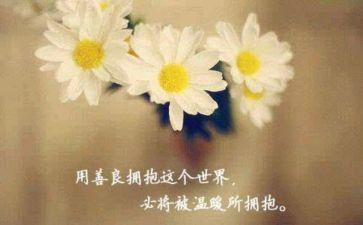 的善心得体会优质7篇