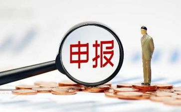 申报助理工作总结范文8篇