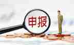 申报助理工作总结范文8篇