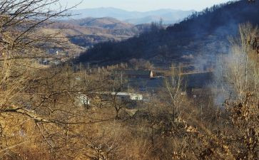 小巷深处的读后感5篇