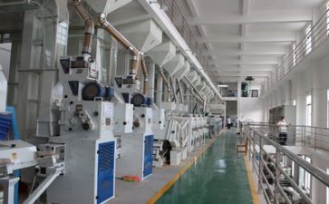 2024安全生产活动方案最新7篇