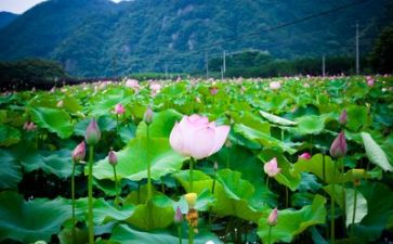 织生活课心得体会5篇