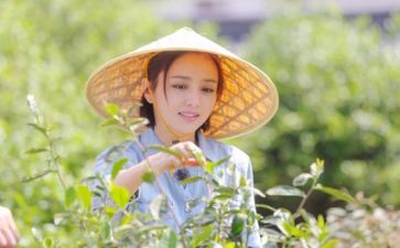 织生活课心得体会推荐6篇