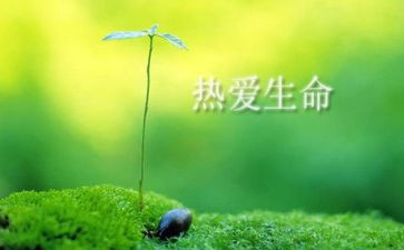 生命的真谛作文6篇