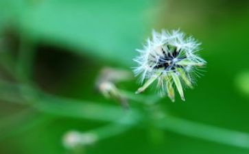 《生命生命》读后感优质7篇