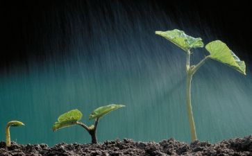 读生命安全课心得体会8篇