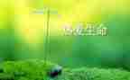 生命心得体会作文5篇