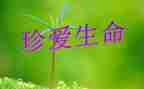 谈生命的心得体会模板8篇