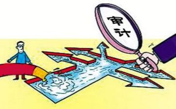 审计专业的心得体会6篇