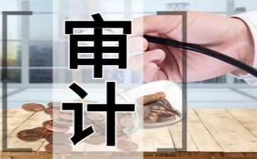 审计干部述职报告范文6篇