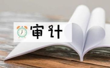 审计后财务总结报告8篇