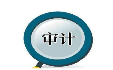 审计人心得体会模板6篇