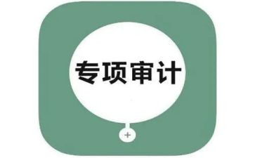 审计配合工作总结6篇