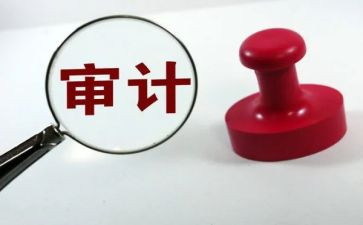 2023年度审计工作总结5篇
