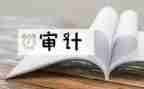 审计后财务总结报告8篇
