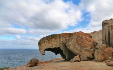 大班科学神奇的车教案8篇