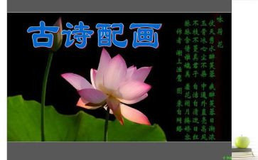 峰古诗教案推荐5篇