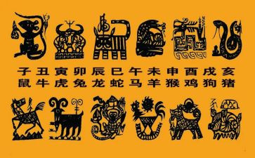 十二生肖教案8篇