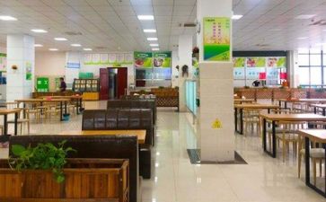 职工食堂个人工作总结5篇