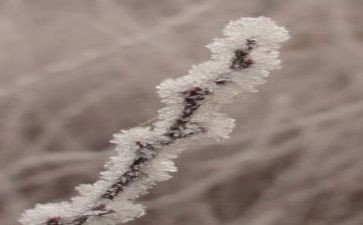 清洁霜教案优秀6篇