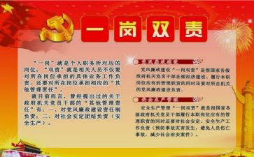 一岗双责的工作总结8篇