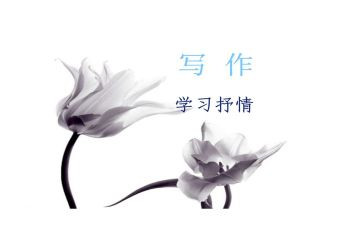 抒情作文500字6篇