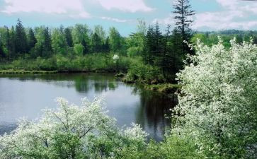 2024第四季度个人总结精选6篇