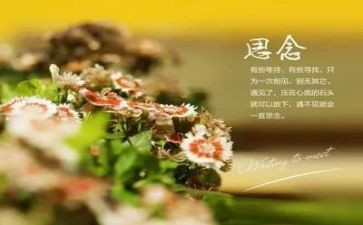 思念家乡作文模板7篇